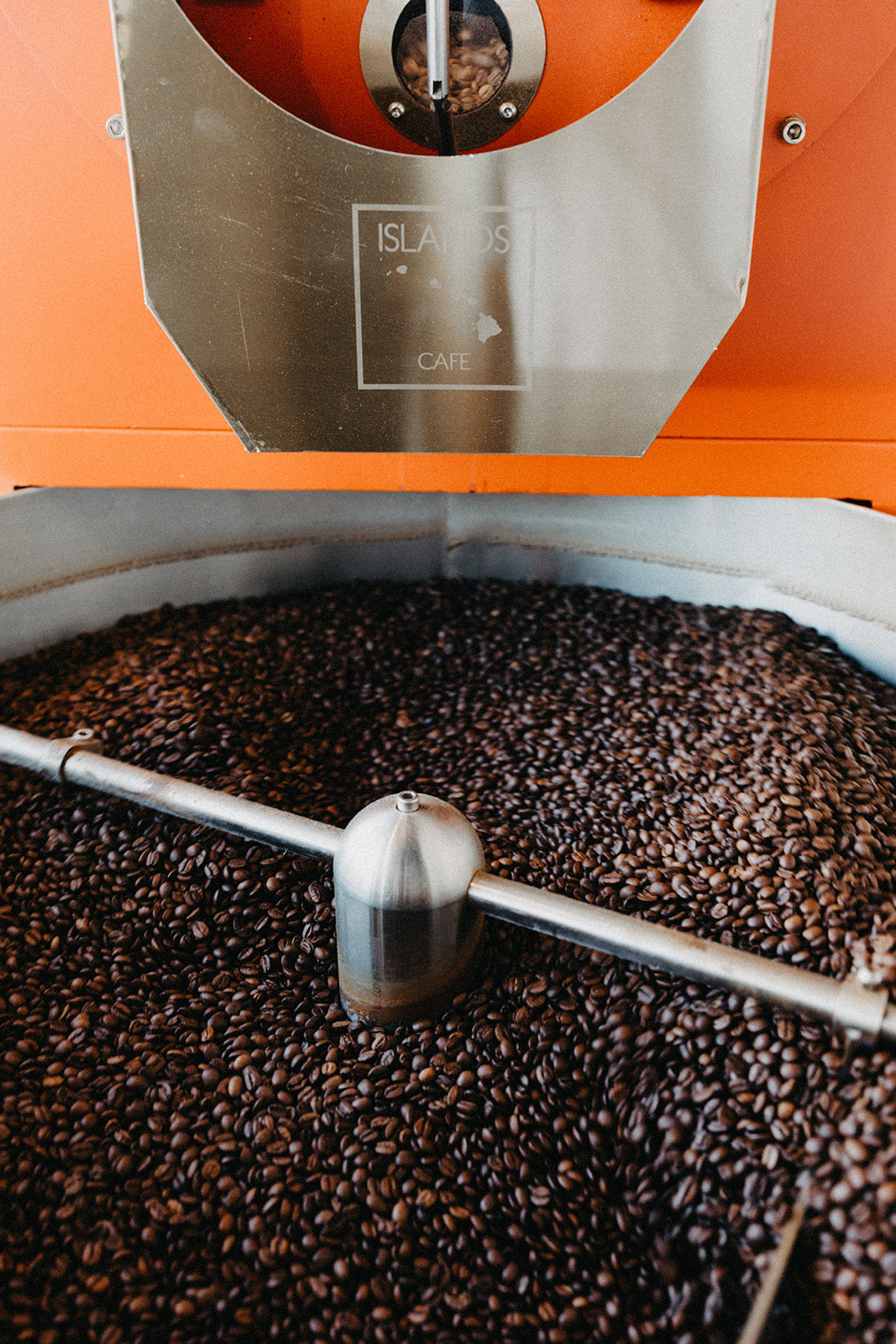 Veriety Packs: 30 bags Lazy Afternoon Medium | 15 Bags Ukulele Dark | 5 bags Surf Decaf